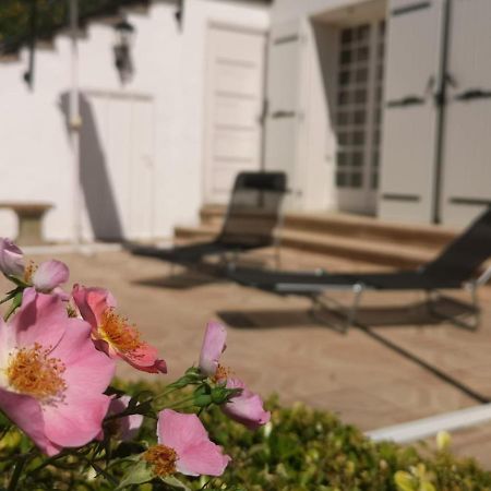 Bellevue Bed & Breakfast Chateauneuf-de-Galaure ภายนอก รูปภาพ