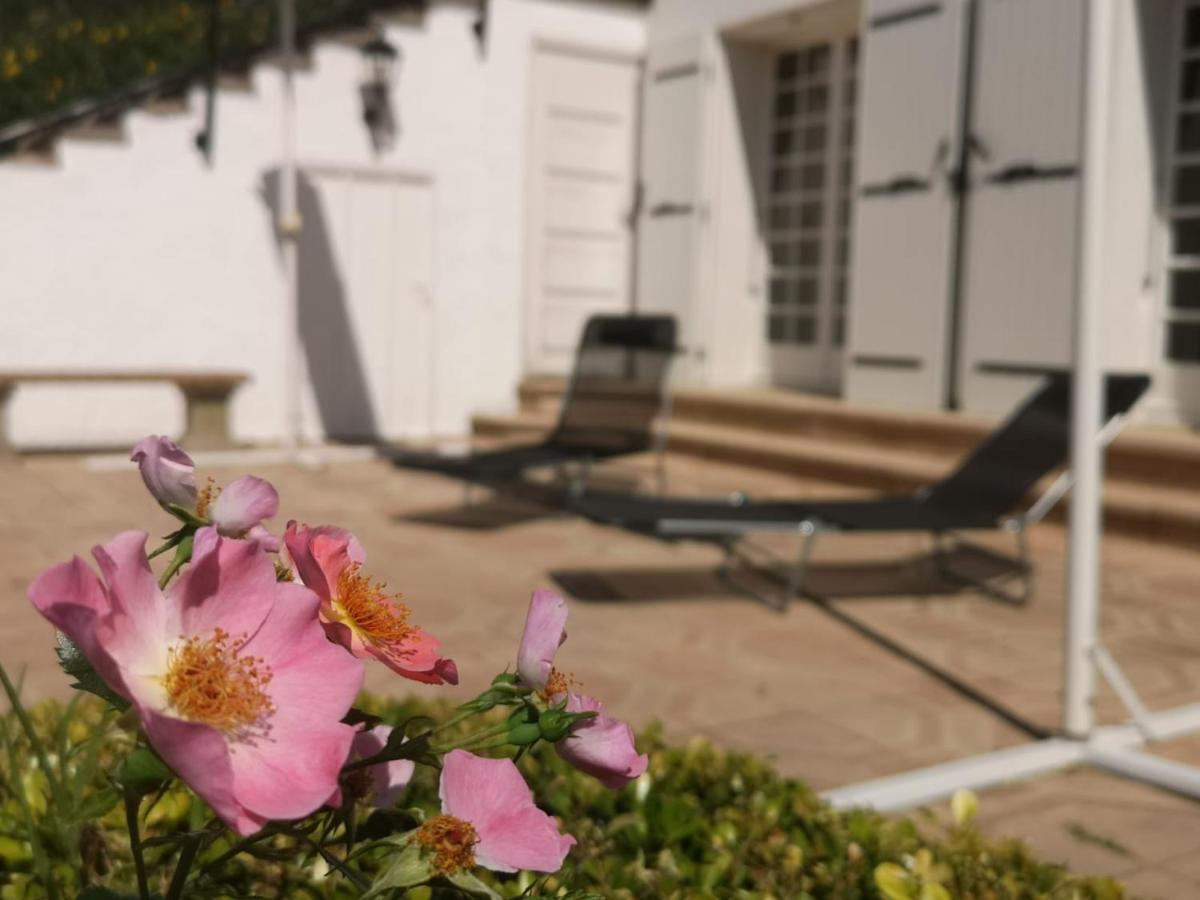 Bellevue Bed & Breakfast Chateauneuf-de-Galaure ภายนอก รูปภาพ