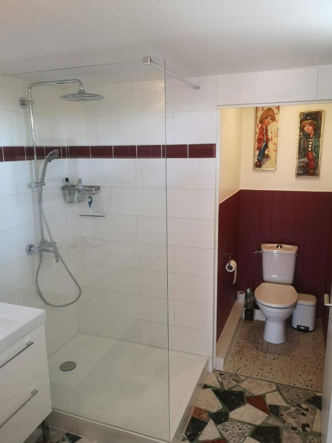 Bellevue Bed & Breakfast Chateauneuf-de-Galaure ภายนอก รูปภาพ