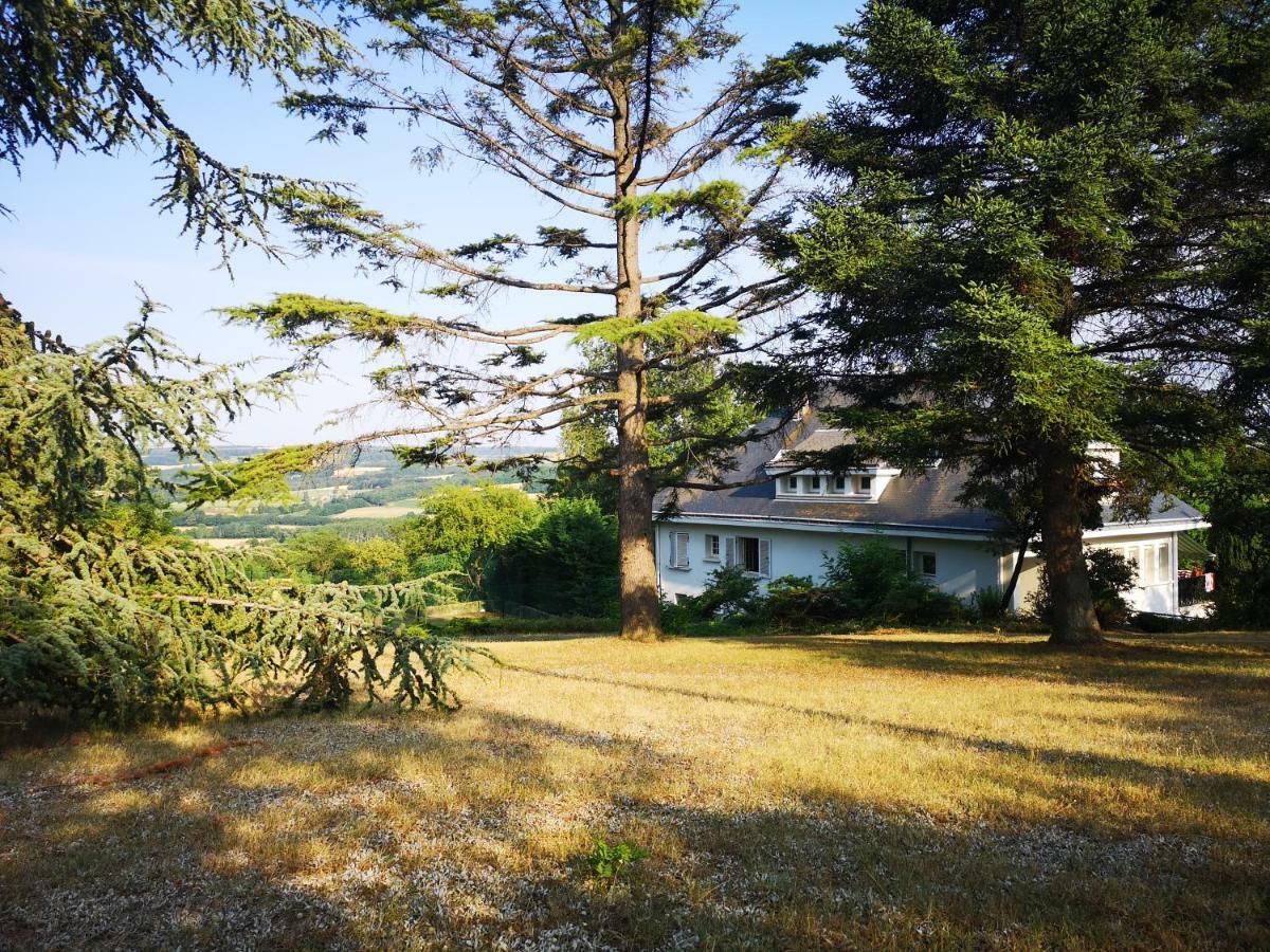Bellevue Bed & Breakfast Chateauneuf-de-Galaure ภายนอก รูปภาพ